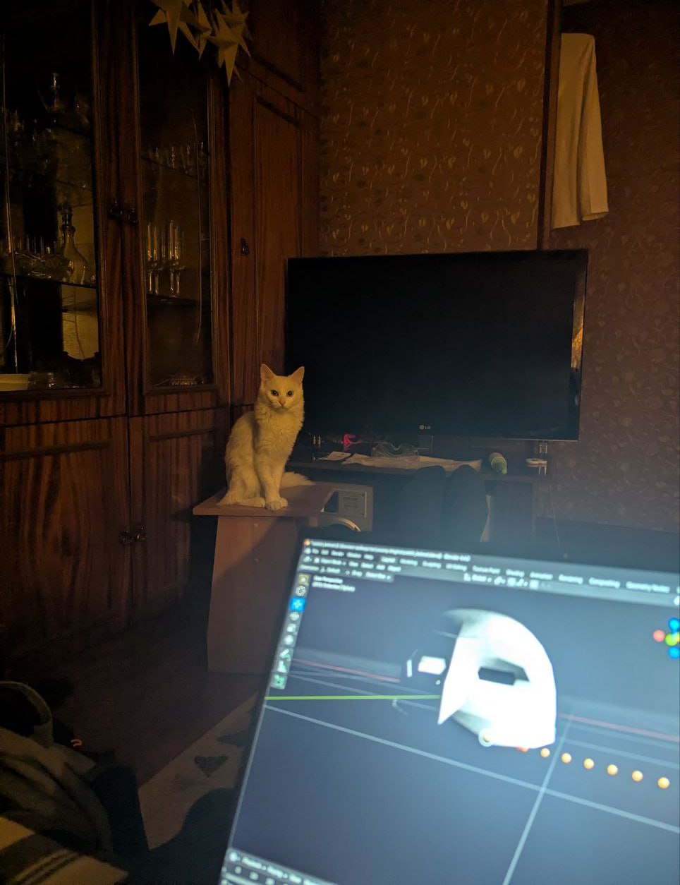 Img 1